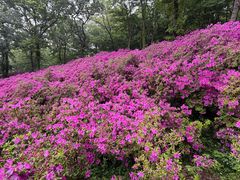 -南山风景名胜区