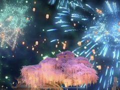 -北京稻香村(五道口店)