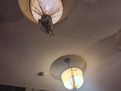 -汤泉良子·沐足·颂钵疗愈·SPA(珠江新城店)