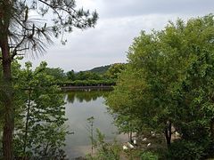 -黄陂区野村谷景区