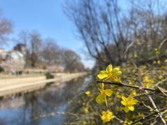 -元大都城垣遗址公园