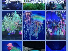 -上海宝龙美术馆