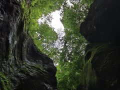 -牛背梁国家森林公园