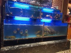 -姜君·千岛湖鱼头馆(浦东大道店)