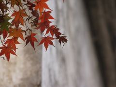 -长兴八都岕景区