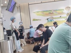 -猪脑壳凉面(武陵源店)