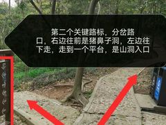 -上海佘山国家森林公园天马山园