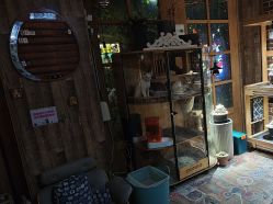 -青木造型HAIR·あおき髪を刈る潮人店