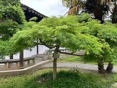-雨花胜境