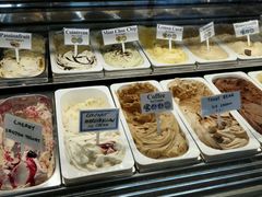 -Dooley's Premium Ice Cream