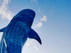 -珠海长隆海洋王国