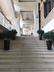 -上海首尔丽格医疗美容医院