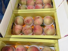 -南汇水蜜桃采摘(大团店)