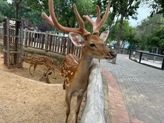 -石家庄市动物园