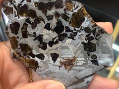 -志强陨石馆(双季花艺店)