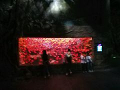 -多彩贵州城极地海洋世界