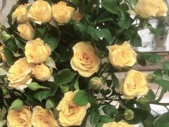 -BomBa意大利餐厅