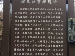 -阳台山自然风景区