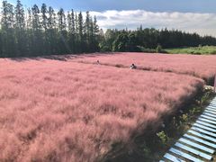 -嘉北郊野公园北游客中心-地上停车场