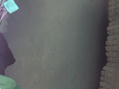 -上海南站