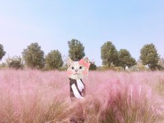 -花博汇(知音花月夜)