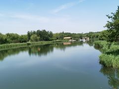 -大兴滨河森林公园