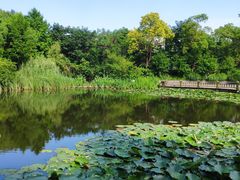 -上海吴淞炮台湾国家湿地公园