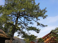 -热田神宫