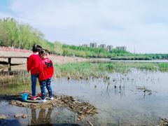 -丁香湖公园