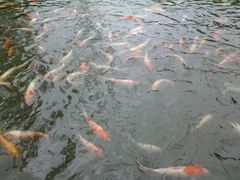 android_upload_pic-厦门悦华酒店