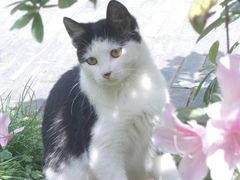 -厦门良筑精品酒店(厦门中山路店)