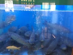 -淘米捞·米汤脆鲩鱼火锅(福田皇岗店)