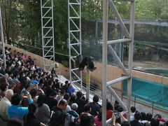 -清迈夜间动物园