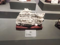 -湖南省地质博物馆