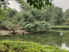 -长白岛森林公园