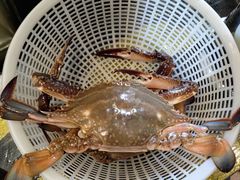 -四海蒸鲜蒸汽海鲜自助(北戴河店)