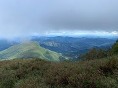 -白草畔自然风景区