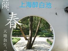 -上海醉白池公园