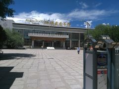 -西藏自治区图书馆