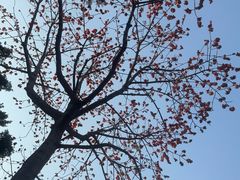 -荔湾湖公园
