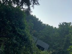 -云碧峰国家森林公园