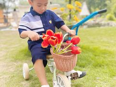 -HERRE·FARM 赫尔露营农场·团建聚会包场