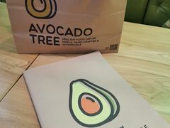 -油梨树AVOCADO TREE(望京店)
