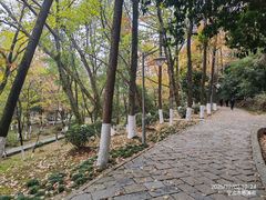 -峙山公园
