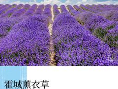 -新疆那拉提国家旅游度假区