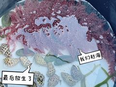 -花海间·即刻露营