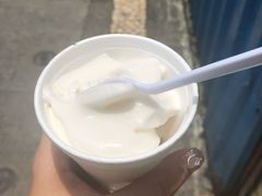 -洪馨椰子