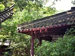 -天一阁博物院