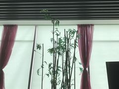-南美元生态大酒店(海珠店)