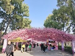 -南汇桃花村